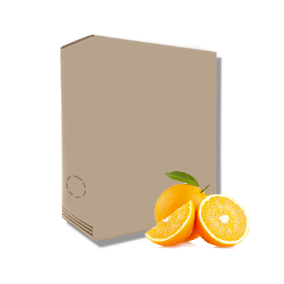 Zumo Nectar Concentrado 10 L
